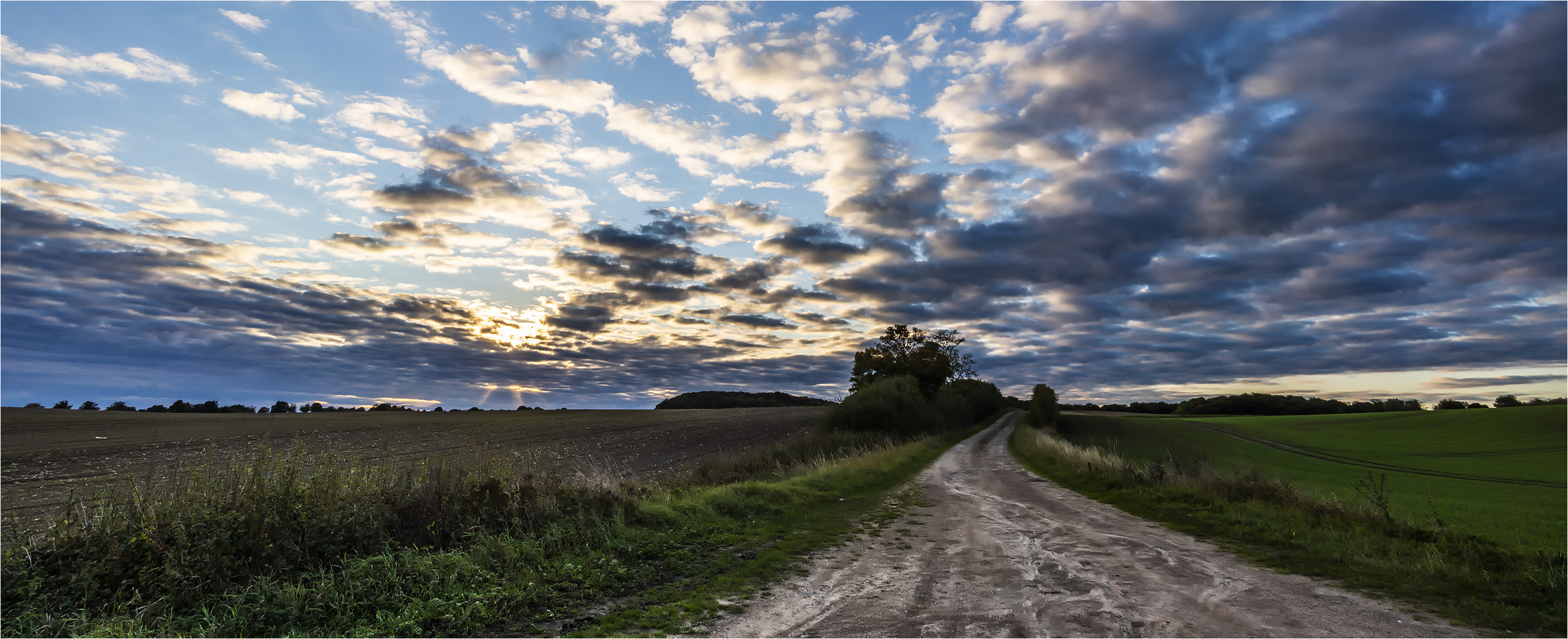 … Abendstimmung in der mecklenburgischen Feldmark …