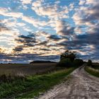 … Abendstimmung in der mecklenburgischen Feldmark …