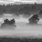 Abendstimmung in der Mehlinger Heide