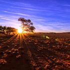 abendstimmung in der namib