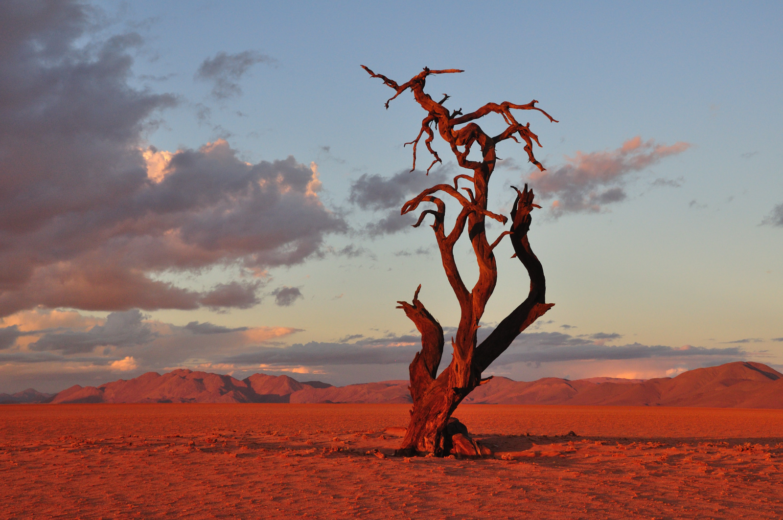 Abendstimmung in der Namib-Wüste