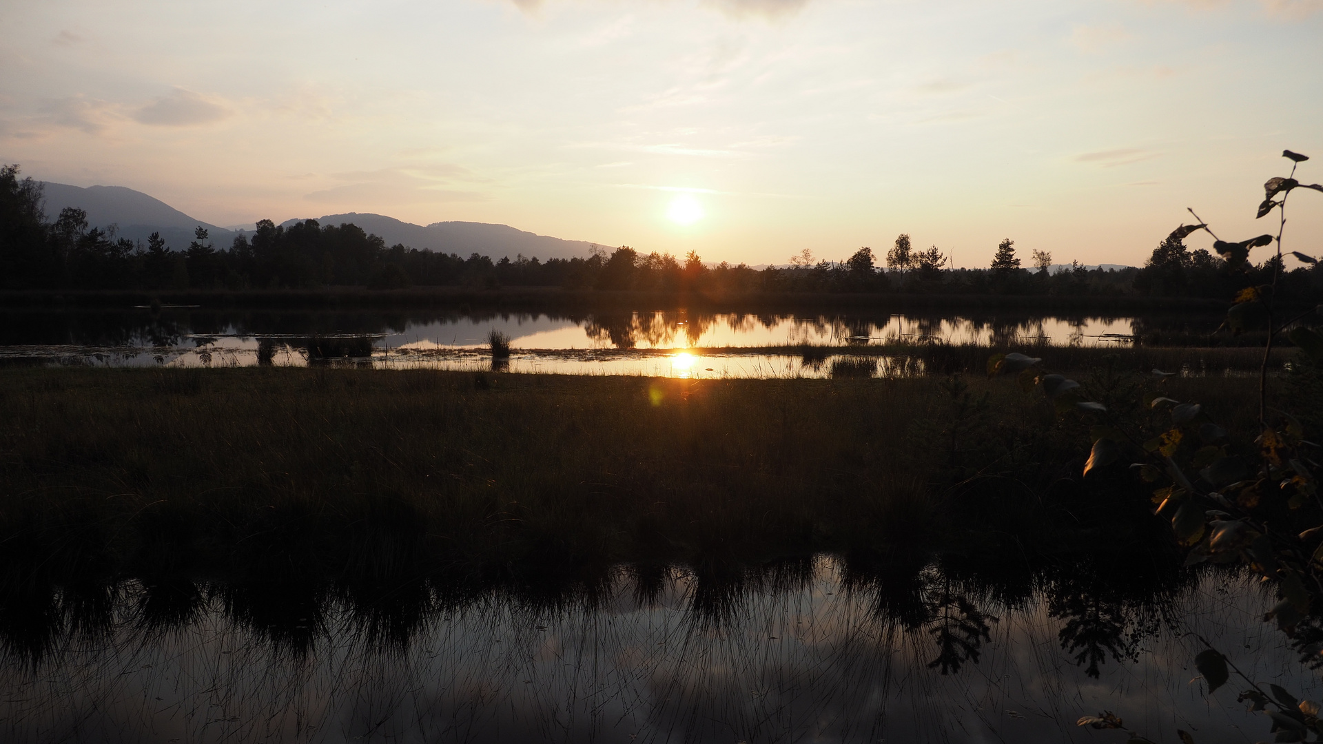 Abendstimmung in der Nicklheimer Moorlandschaft