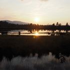 Abendstimmung in der Nicklheimer Moorlandschaft