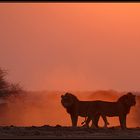 Abendstimmung in der Nxai Pan