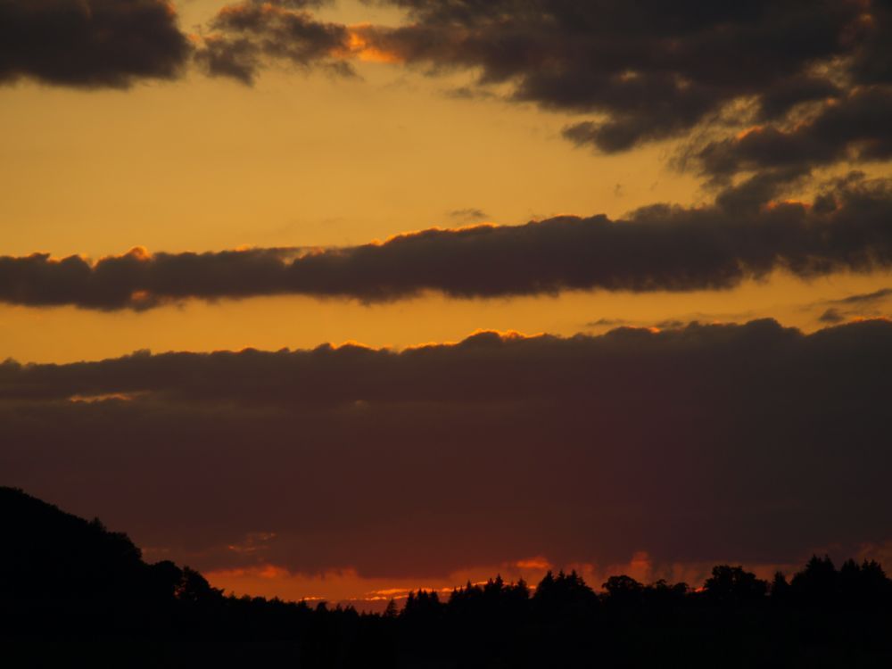 Abendstimmung in der Pfalz