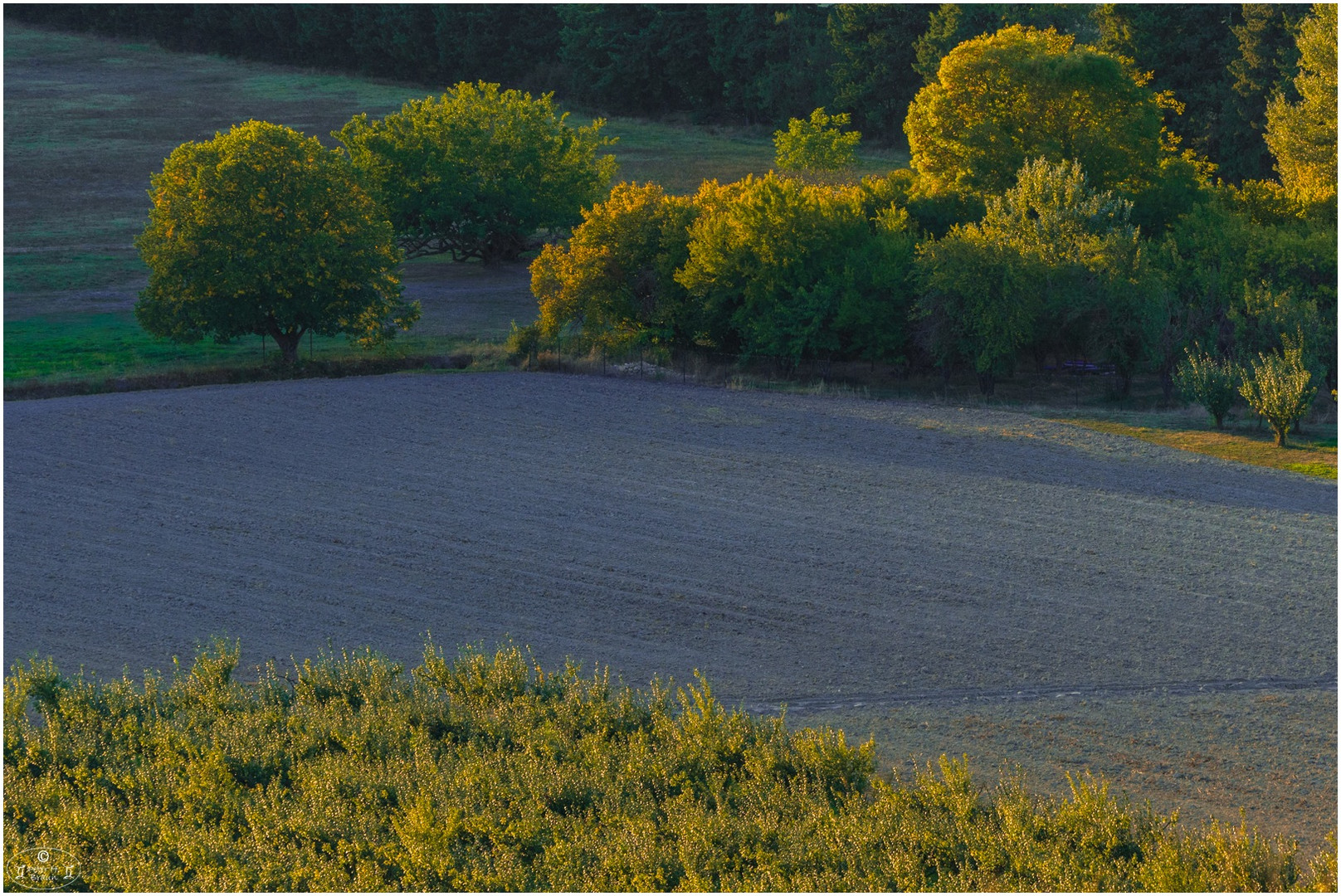 Abendstimmung in der Provence