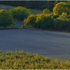 Abendstimmung in der Provence