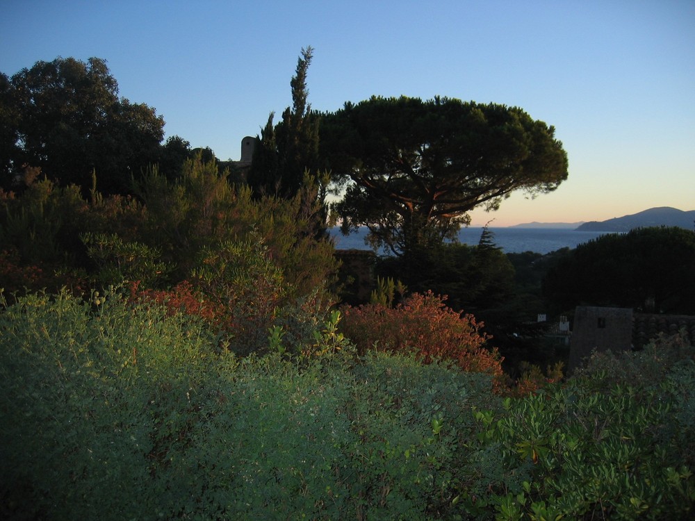 Abendstimmung in der Provence