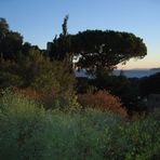 Abendstimmung in der Provence