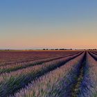 Abendstimmung in der Provence