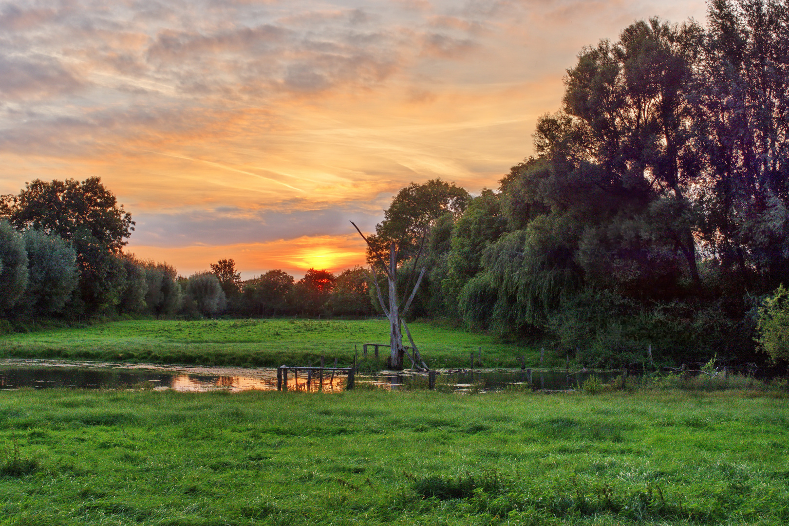 Abendstimmung in der Rheinaue