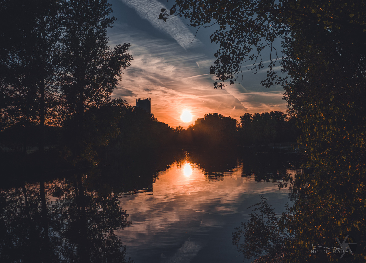 Abendstimmung in der Rheinaue