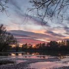 Abendstimmung in der Rheinaue