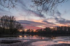 Abendstimmung in der Rheinaue