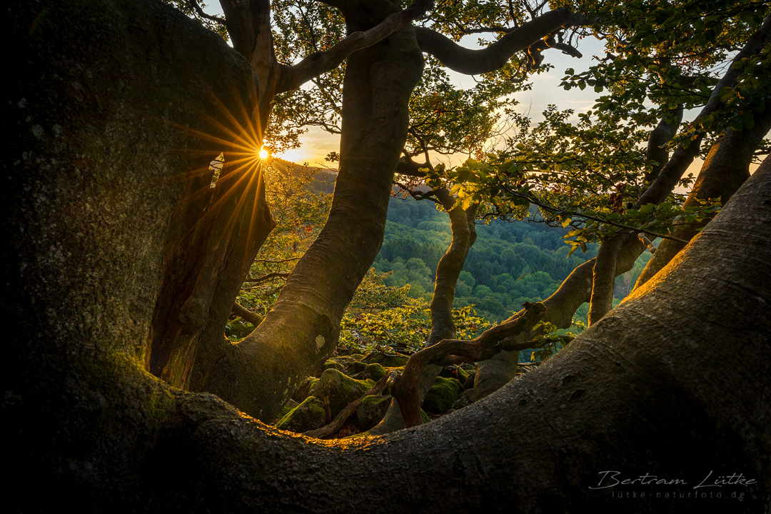 Abendstimmung in der Rhön