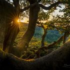 Abendstimmung in der Rhön