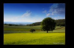 Abendstimmung in der Rhön