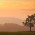 Abendstimmung in der Rhön 