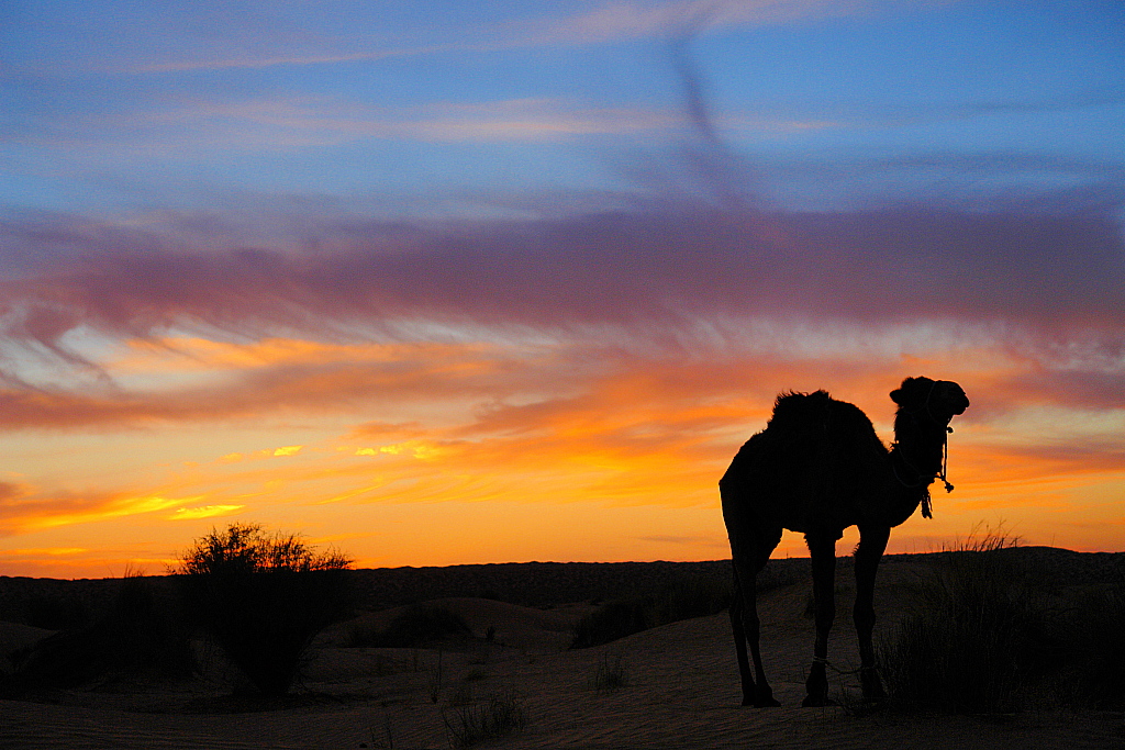 Abendstimmung in der Sahara