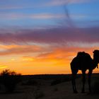 Abendstimmung in der Sahara