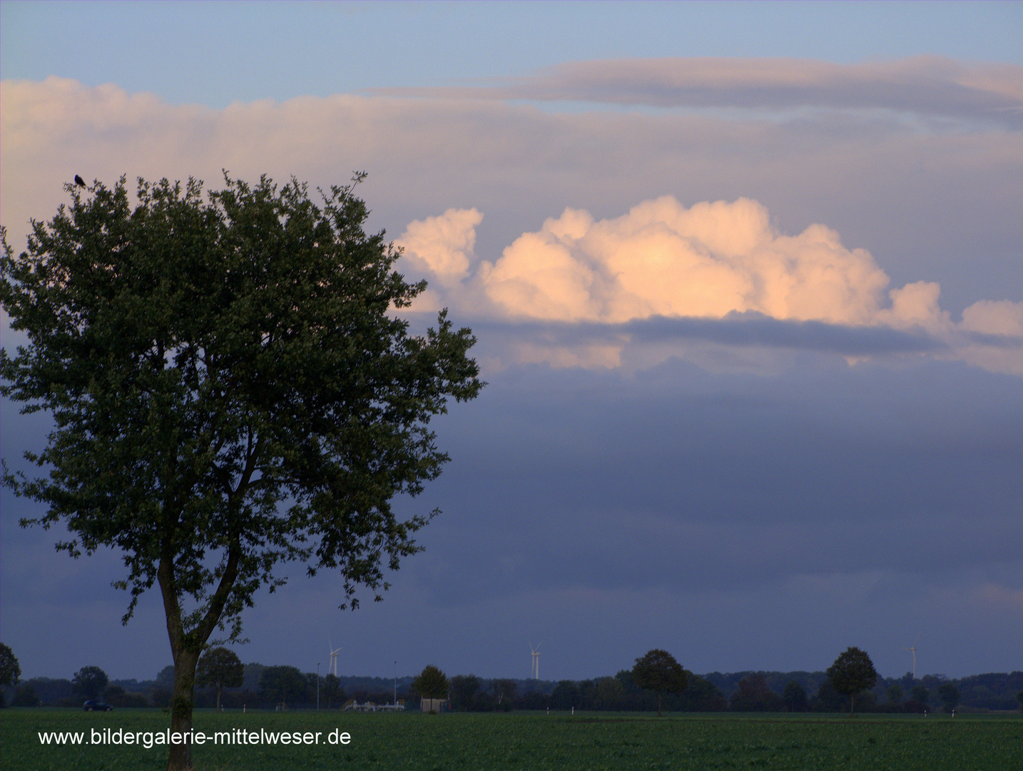 Abendstimmung in der Samtgemeinde Grafschaft Hoya "Urlaubsland an der Weser"