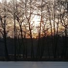 Abendstimmung in der Scherau (5)