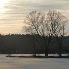 Abendstimmung in der Scherau (7)