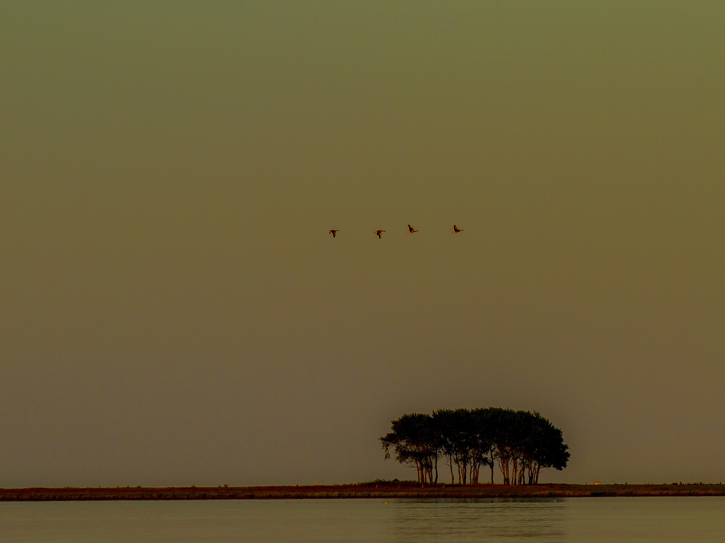 Abendstimmung in der Schlei