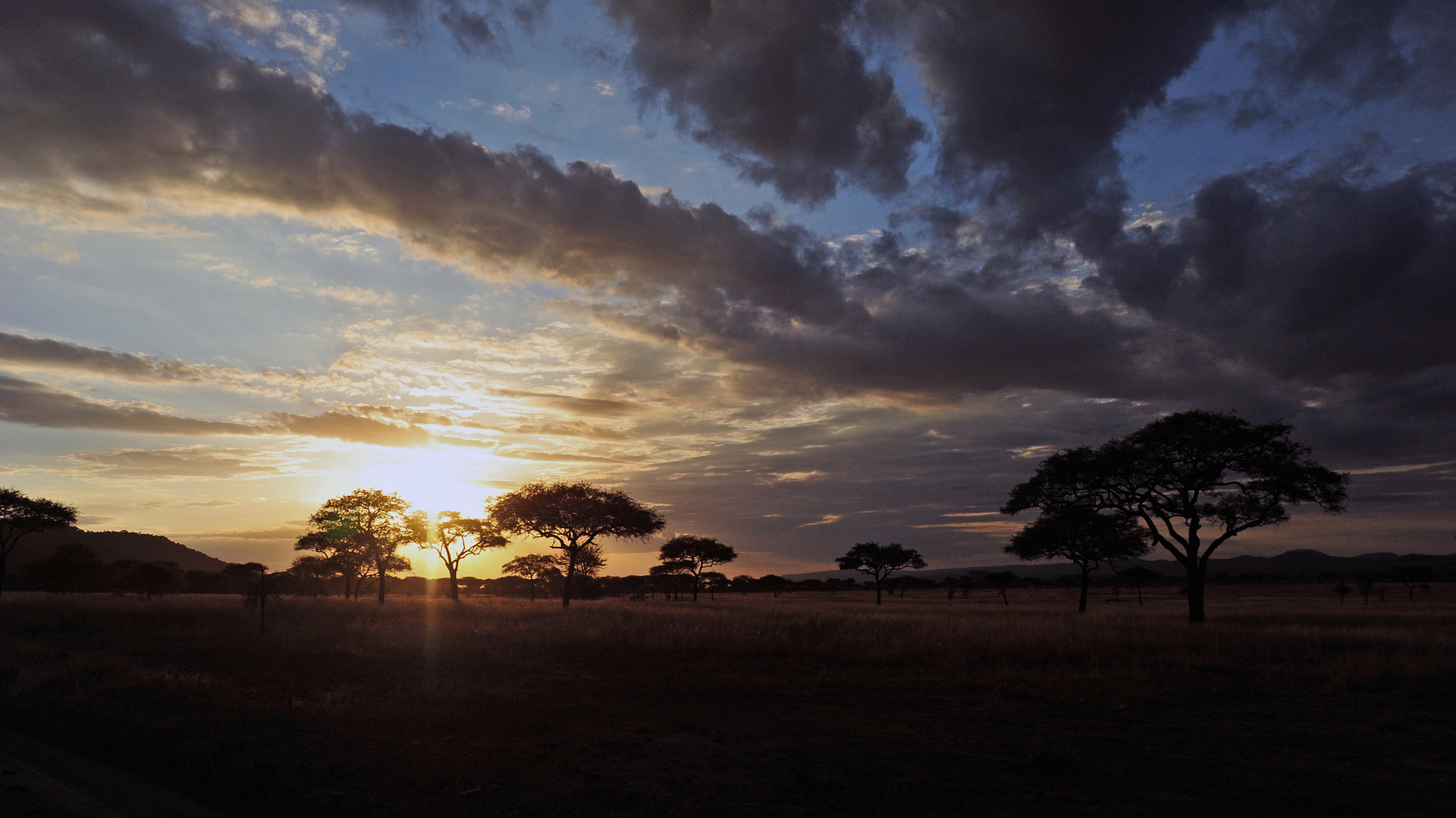 Abendstimmung in der Serengeti