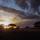 Abendstimmung in der Serengeti