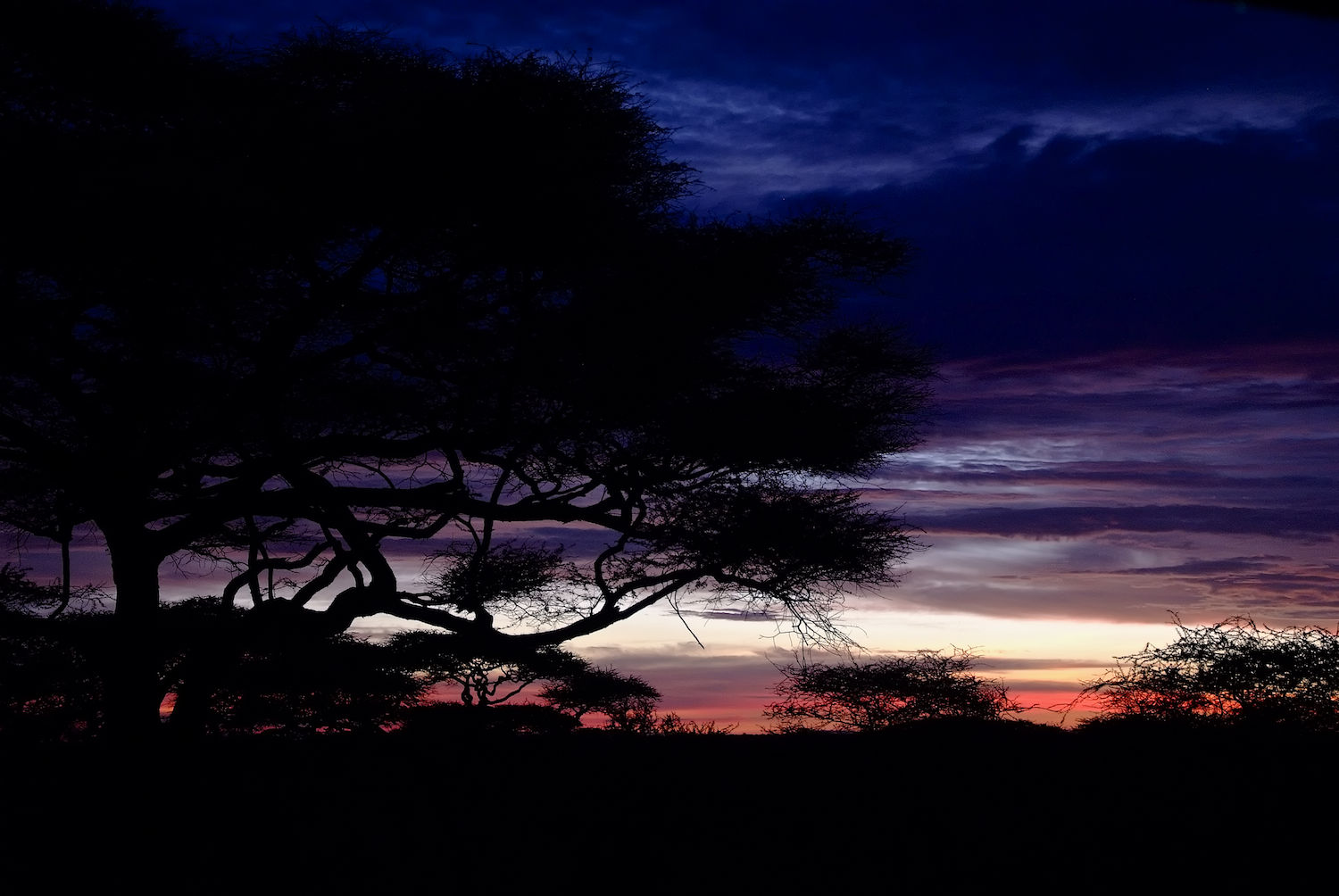 Abendstimmung in der Serengeti