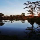 Abendstimmung in der Serengeti