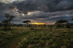 Abendstimmung in der Serengeti