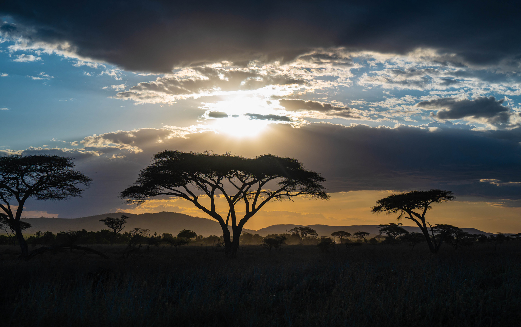 Abendstimmung in der Serengeti