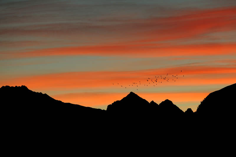 Abendstimmung in der Silvretta