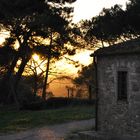 Abendstimmung in der Toscana