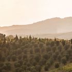 Abendstimmung in der Toscana