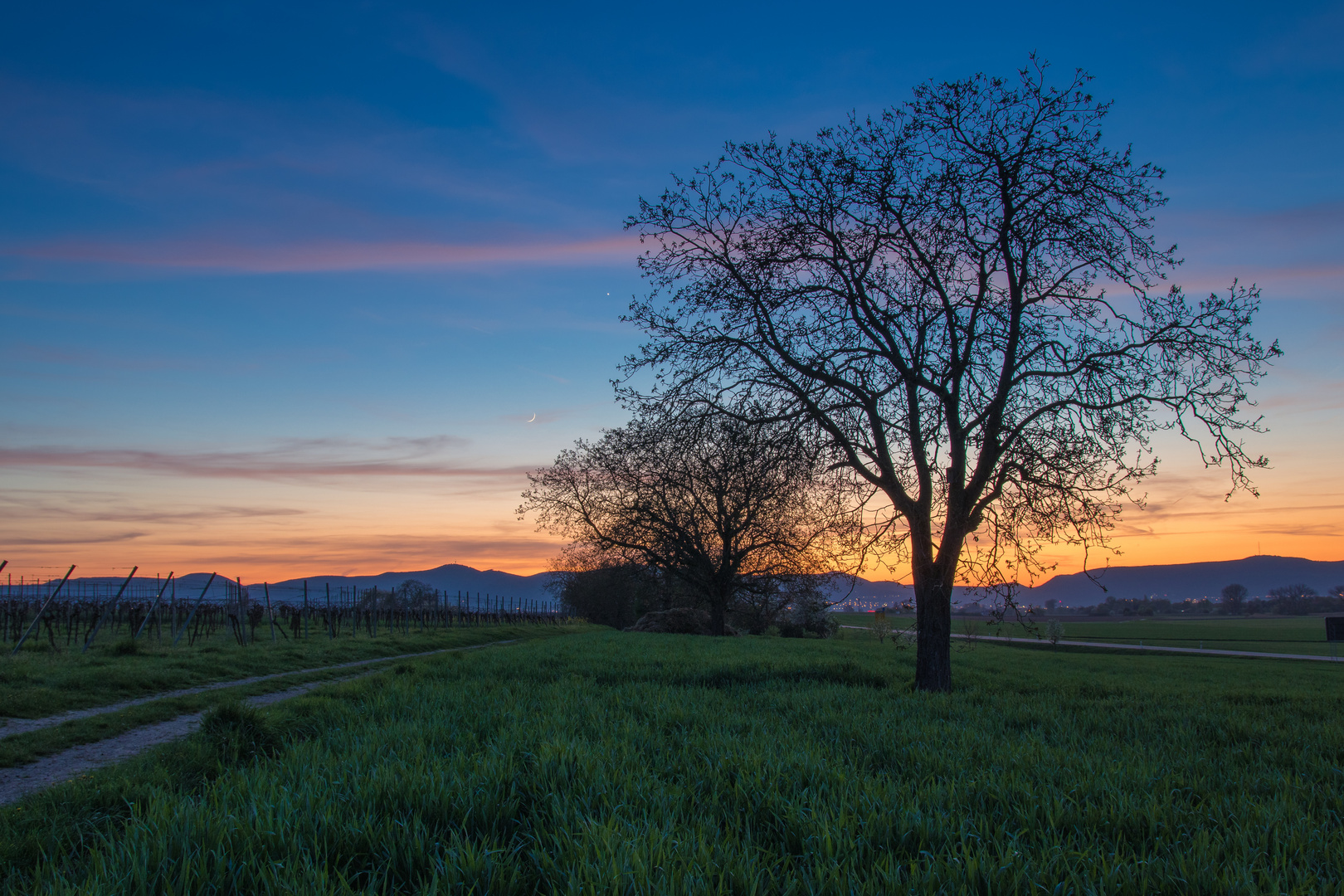 Abendstimmung in der Vorderpfalz