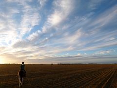 Abendstimmung in der weiten Pampa