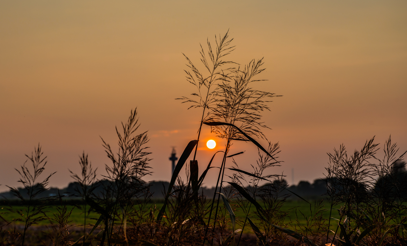 Abendstimmung in der Wesermarsch