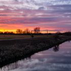 Abendstimmung in der Wiese