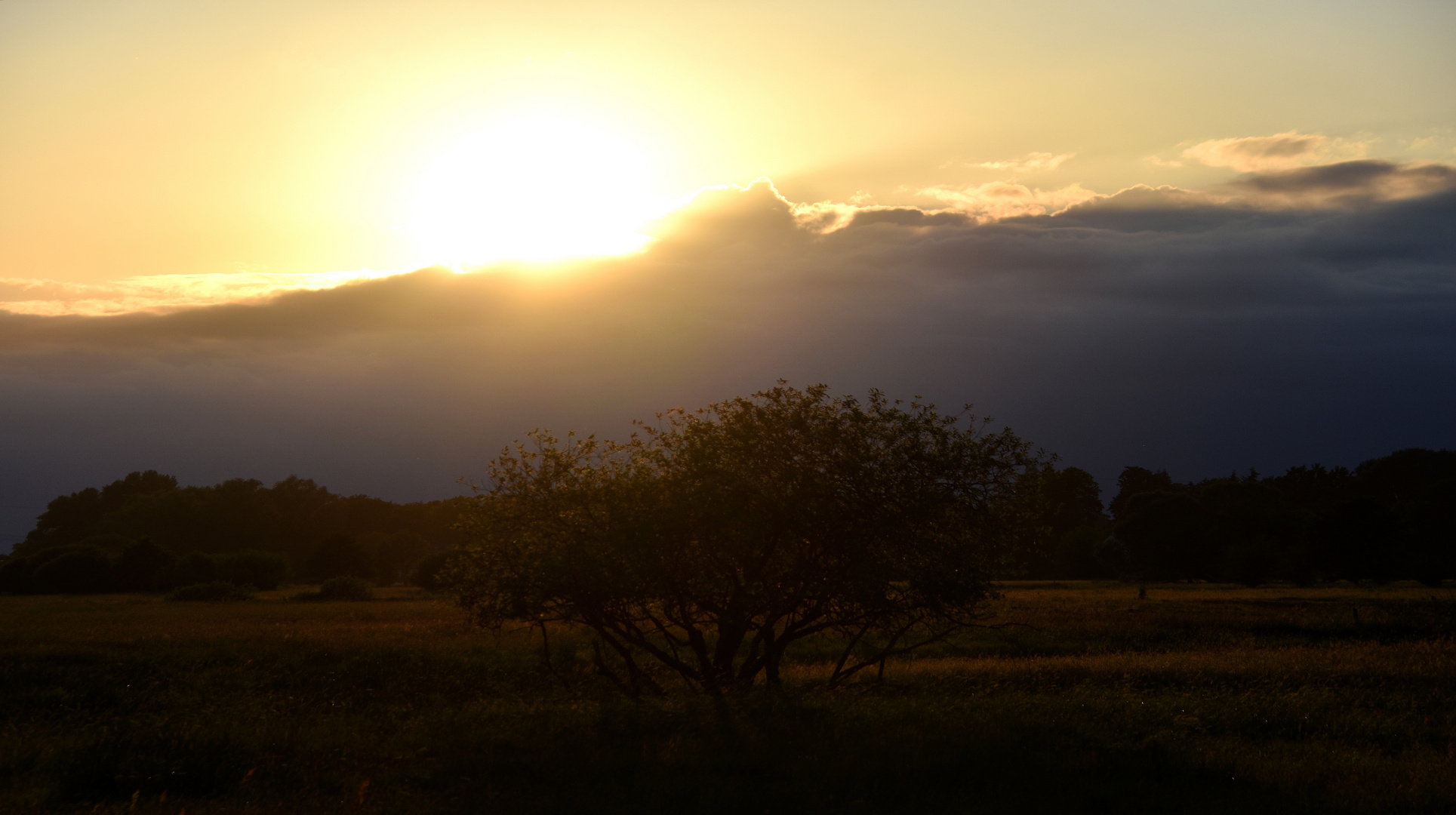 Abendstimmung in der Wümmeniederung