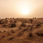 Abendstimmung in der Wüste