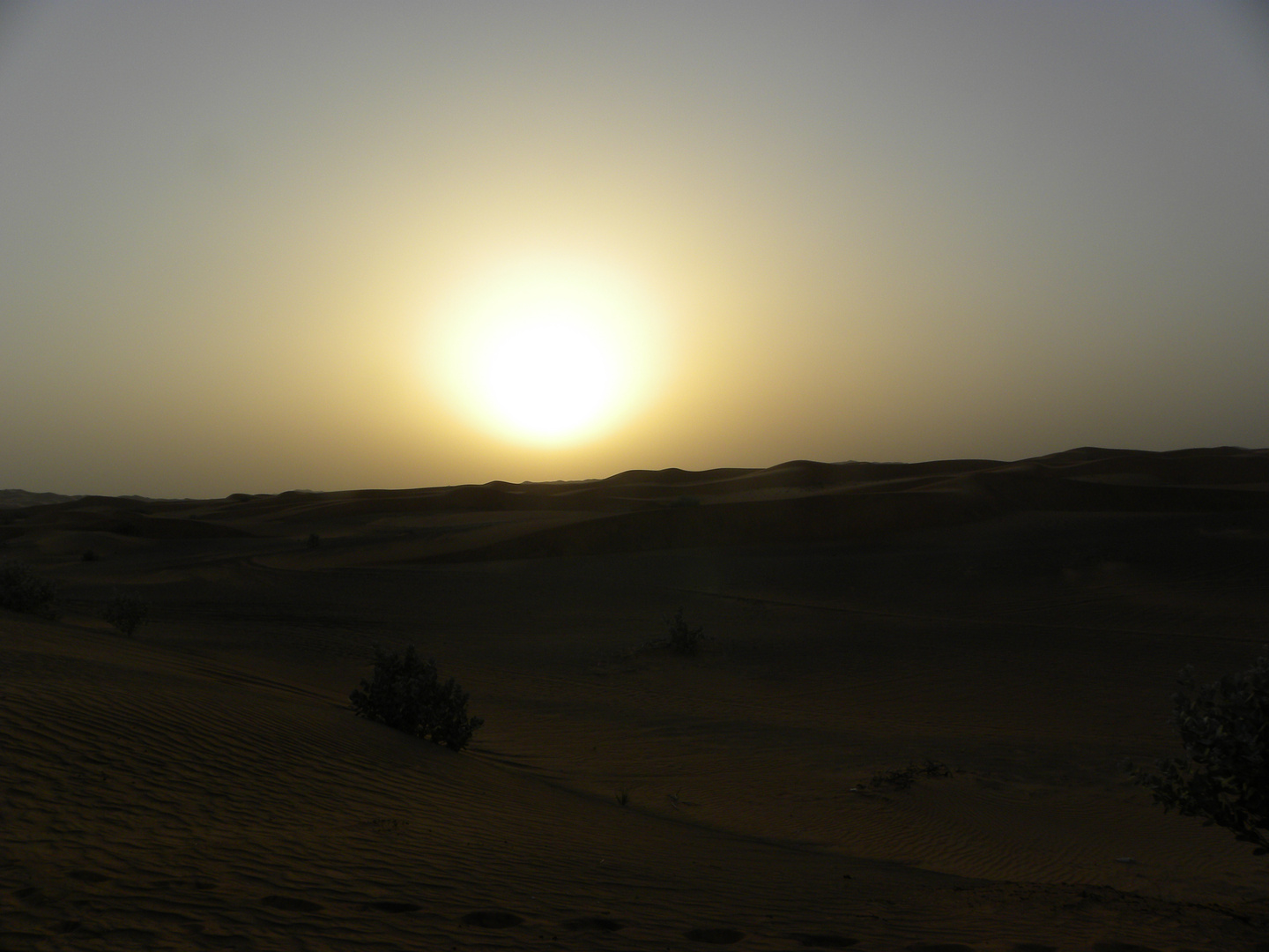 Abendstimmung in der Wüste bei Dubai