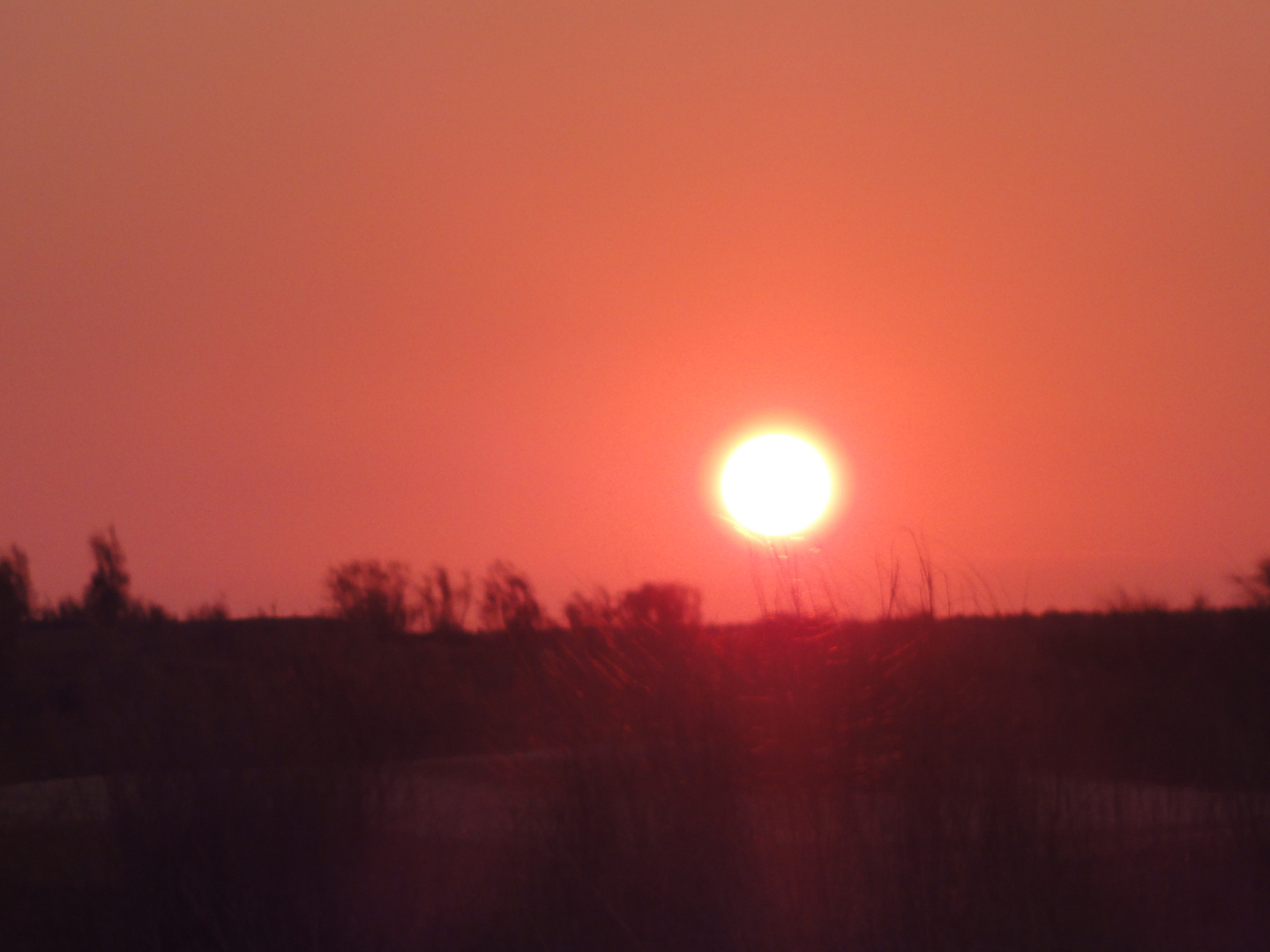 Abendstimmung in der Wüste