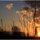 Abendstimmung in Dortmund