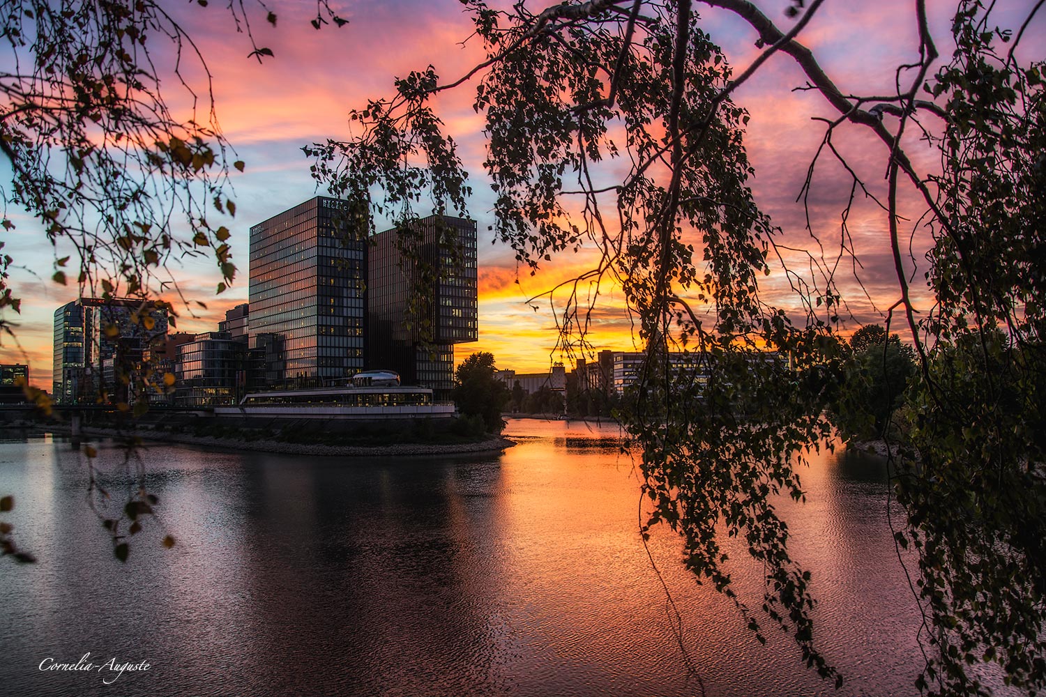 Abendstimmung in Düsseldorf..