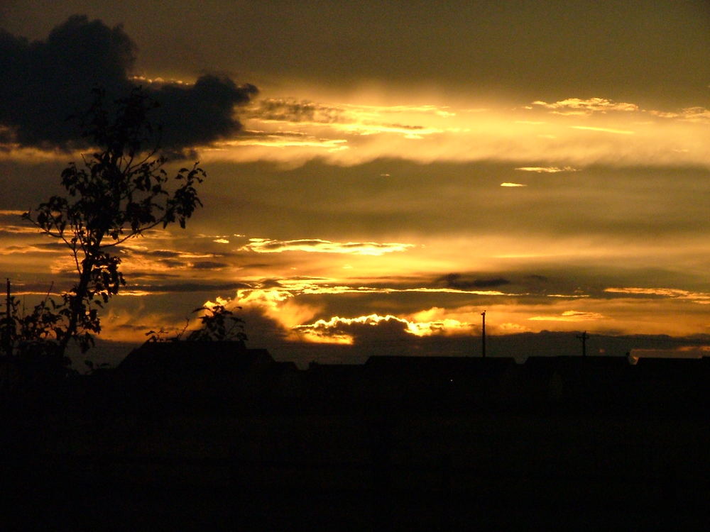 Abendstimmung in Falcon Colorado