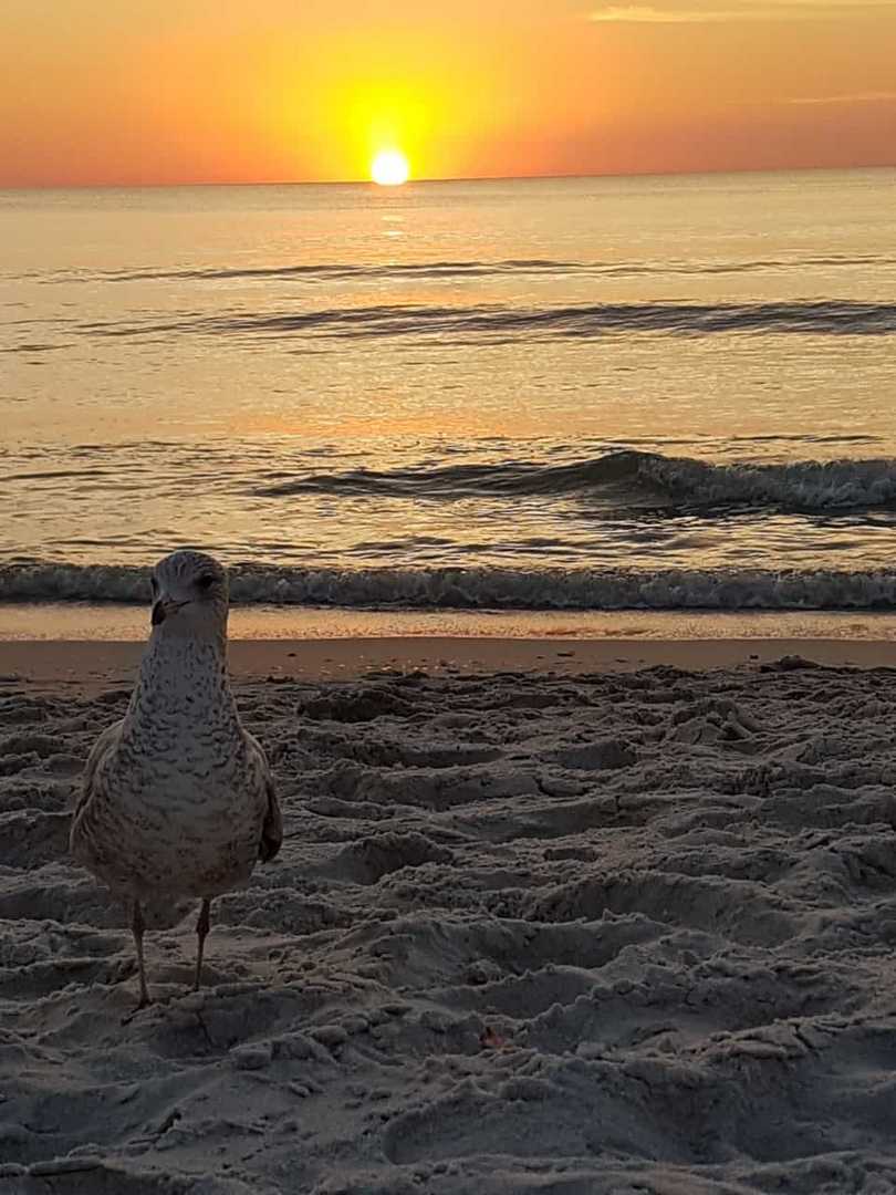 Abendstimmung in Florida 