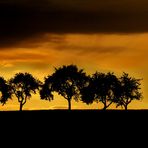 Abendstimmung in Frankenhardt